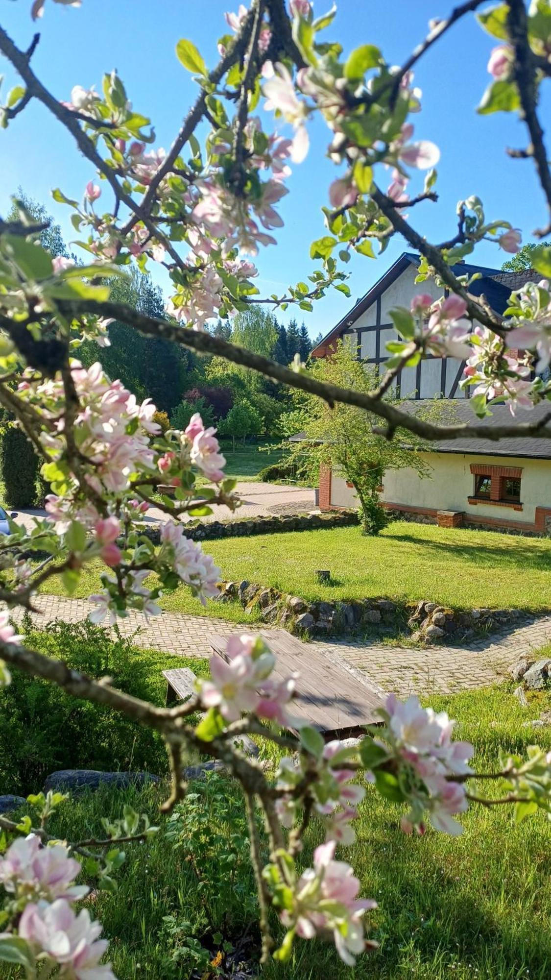 Vagnera Parks Hotel Tukums Exterior photo